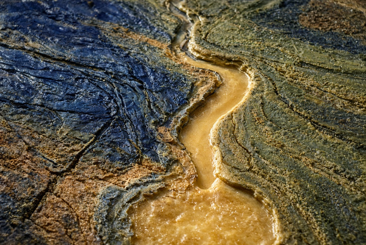 A wax wetland sponge with branching pores